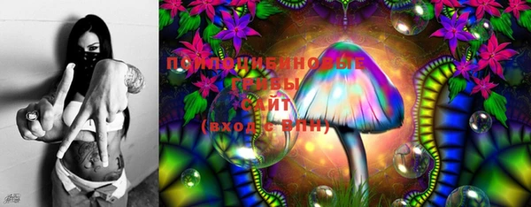 прущие грибы Белокуриха