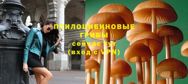 не бодяженный Богородицк