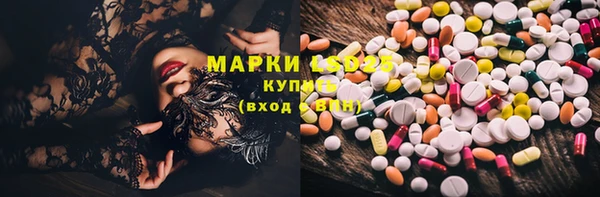 прущие грибы Белокуриха