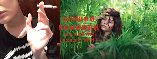 прущие грибы Белокуриха