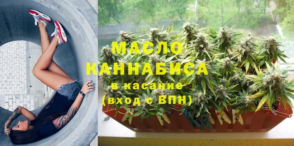 индика Белоозёрский